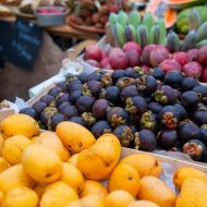 059_tmalycz_20250510