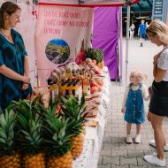 004_tmalycz_20250726 - kopie