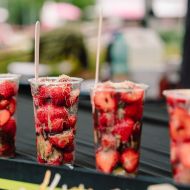 024_tmalycz_20250726