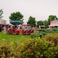 139_tmalycz_20250726