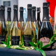 047_tmalycz_20260411
