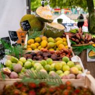 039_tmalycz_20260516