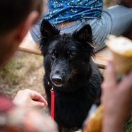 118_tmalycz_20260801